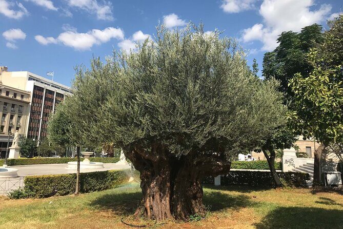 Athens by E-Bike: Monuments, Food & Transfers (Cruise Tour) - Final Thoughts