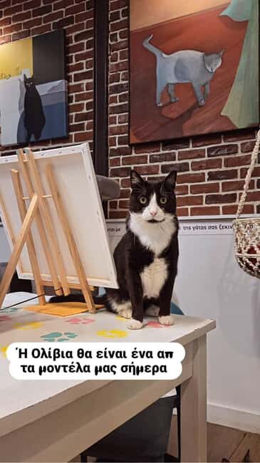 Athens: Cat Café Paint & Sip Experience - A Detailed Look at the Athens: Cat Café Paint & Sip Experience