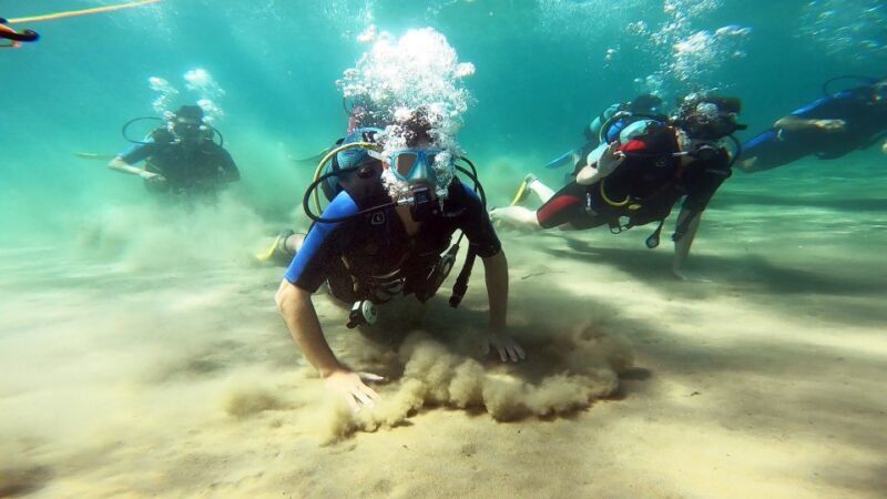 Athens East Coast: Discover Scuba Diving in Nea Makri - Who Will Love This Experience?