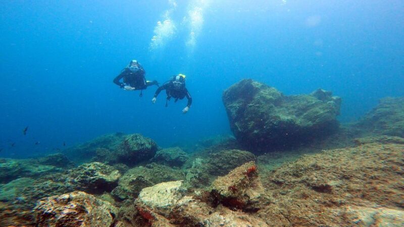 Athens East Coast: Open Water Diver Course in Nea Makri - An In-Depth Look at the Experience in Nea Makri