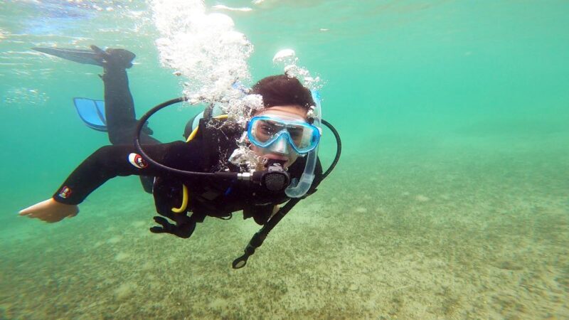 Athens East Coast: Open Water Diver Course in Nea Makri - Why Choose This Experience?