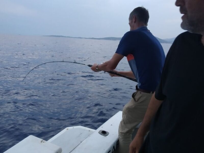Athens: Fishing Trip Experience on a Boat with Seafood Meal - Who Will Love This Tour?