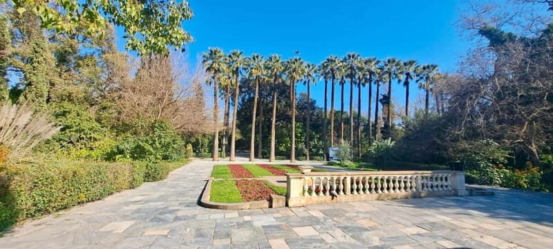 Athens Fun Day with a Local (Walking tour) - Final Thoughts: Why Choose This Tour?