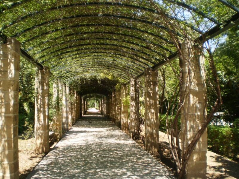 Athens: National Garden 2-Hour Segway Tour - A closer look at the Athens Segway Tour Experience