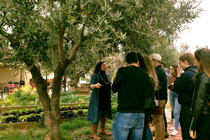 ATHENS OLIVE ESTATE - Olive Oil Workshop with Farm-to-Fork Lunch - Final Thoughts: Who Will Love This Experience?
