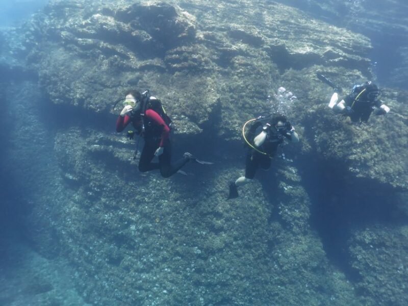 Athens: Private Discover Scuba Diving for Beginners - Quick Overview of Athens Private Discover Scuba Diving for Beginners