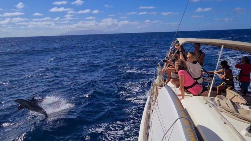 ATHENS SAILING & GASTRONOMY MORNING CRUISE ALL INCLUSIVE - Final Thoughts