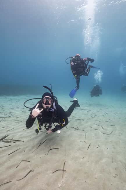 Athens: Single or Double Scuba diving for certified divers - Who Should Consider This Tour?