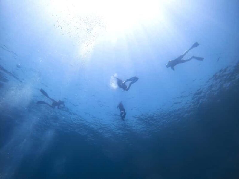 Athens: Snorkeling Riviera Adventure - Exploring the Experience in Detail