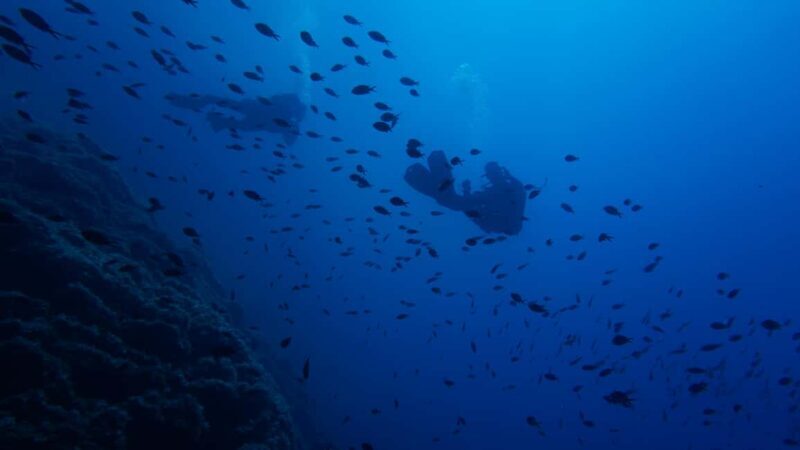 Athens: Snorkeling Tour - A Closer Look at the Athens Snorkeling Tour
