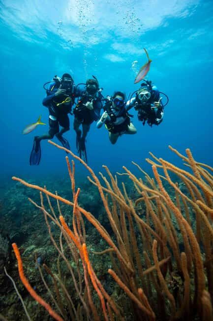 Athens: Snorkeling Tour - Why This Tour Offers Great Value
