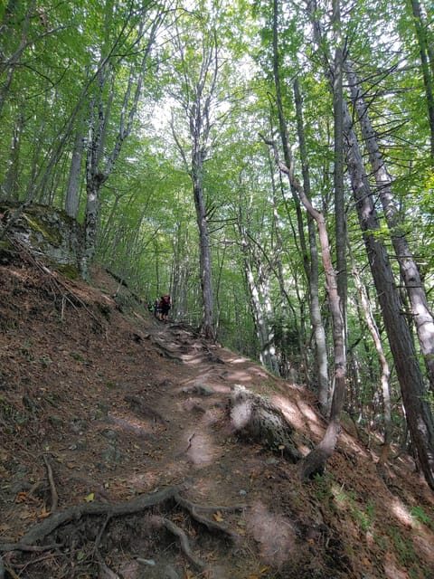 Athens to Mount Olympus: 2 days private tour - Key Points