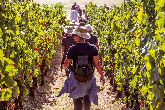 Athens Wine Tour - An Outstanding Full Day Experience For Dedicated Winelovers - A Taste of Greece: The Athens Wine Tour