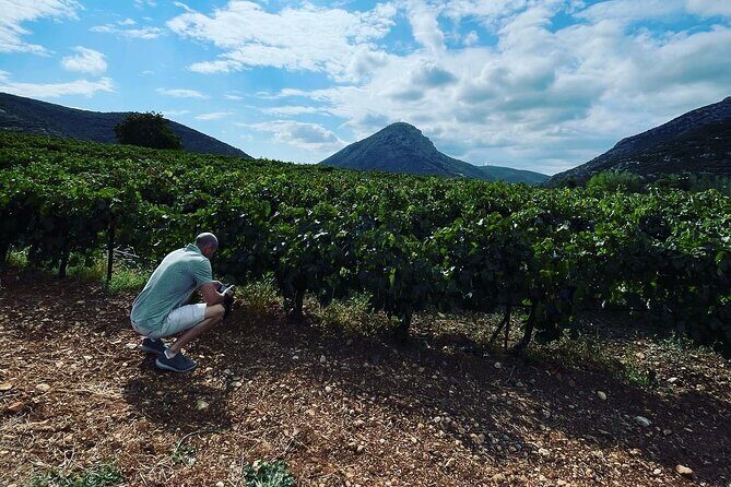 Athens Wine Tour with Wine Expert - Why This Tour Stands Out