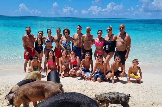 Athol Island Swimming Pigs Half-Day Boat Tour with Lunch - The Overall Experience: Benefits and Considerations