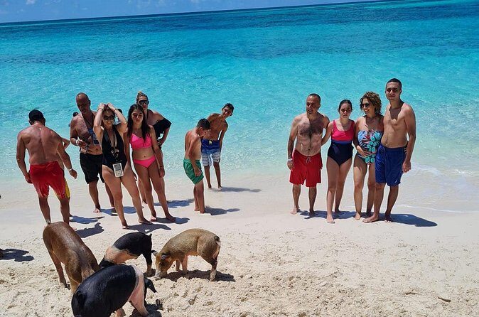 Athol Island Swimming Pigs Half-Day Boat Tour with Lunch - FAQ