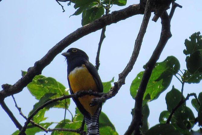 Atitlan Hiking and Birding - Day tour from Antigua - Why This Tour Offers Great Value