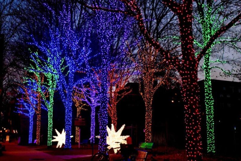 Atlanta: Christmas Private Walking Tour - Practical Details and What to Expect