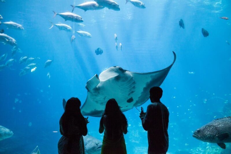 Atlanta CityPASS®: Save up to 49% at 5 Top Attractions - Final Thoughts: Is the Atlanta CityPASS® Worth It?