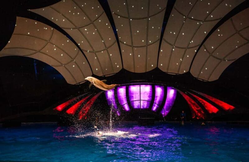 Atlanta: Georgia Aquarium Skip-the-Box-Office Entry Ticket - Who Will Love This Experience?