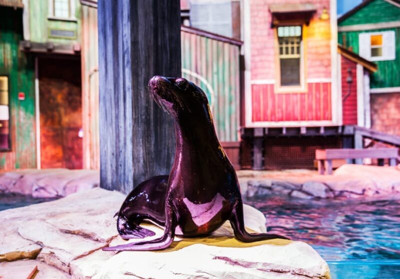 Atlanta: Georgia Aquarium Skip-the-Box-Office Entry Ticket - Frequently Asked Questions