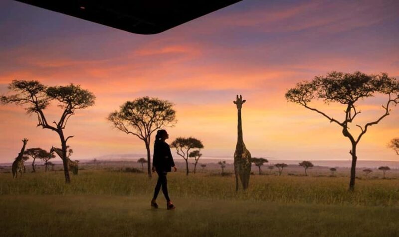 Atlanta: The Illuminarium Day Pass - Final Thoughts