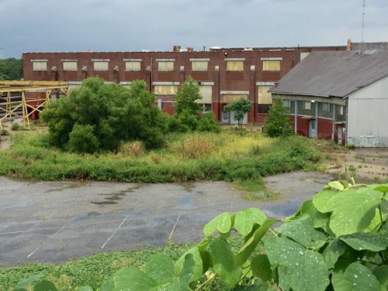 Atlanta: 'The Walking Dead' Film Locations Private Tours - Practical Details and What to Expect