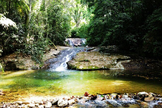 Atlantic Forest Tour: Christ the Redeemer and Tijuca Forest - FAQ