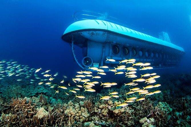 Atlantis Submarine from Kona Beach - Who Will Love It?