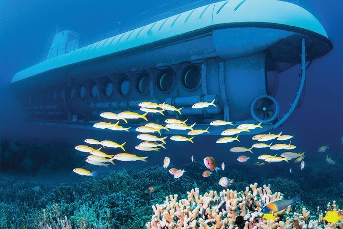 Atlantis Submarine from Kona Beach - Frequently Asked Questions