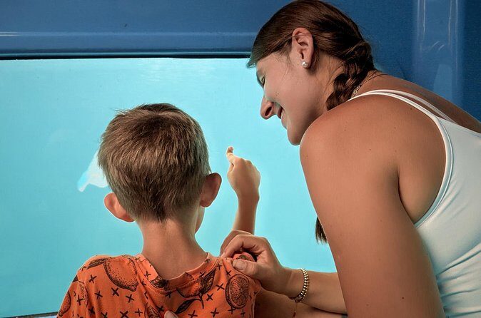 Atlantis Submarine Private Tour in Bridgetown - Frequently Asked Questions