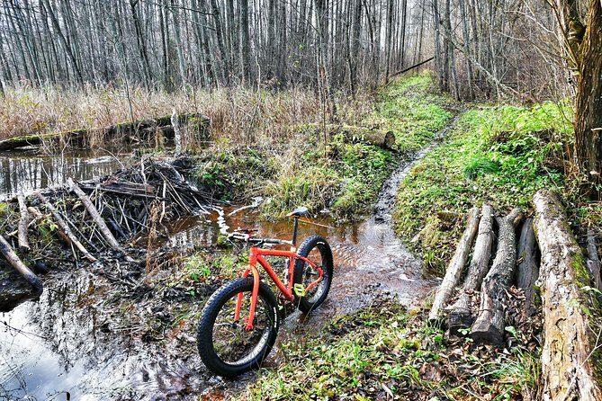 Atomic Ride | LitWild |Visaginas|Lithuania - Who Will Love This Tour?