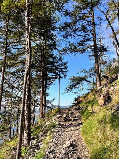Attersee: Sunset Hike to Großer Schoberstein with Guide - Who Should Consider This Tour?
