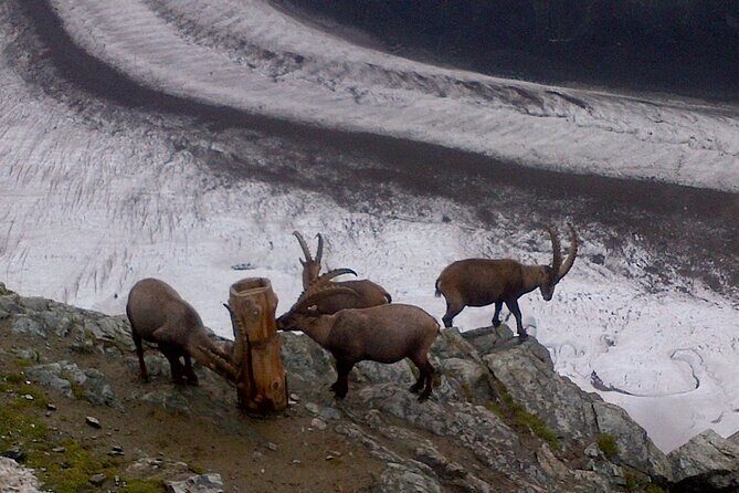 Attraction Ticket: Zermatt to Spectacular Mount Gornergrat Summit - Frequently Asked Questions