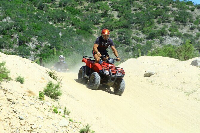 ATV Adventure and Tacos at Migriño Beach - The Lunch: Tacos and Refreshments