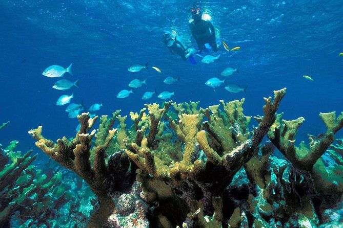 ATV Adventure Combo with Snorkeling, Ziplines, Cenote, and Lunch - Final Thoughts