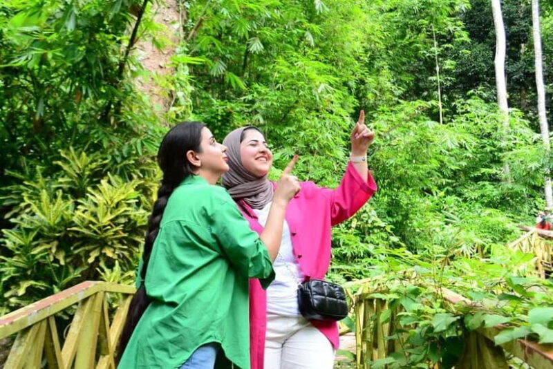 ATV Adventure Package  1 Hour Fun Ride in Langkawi - A Practical Look at the ATV Adventure in Langkawi