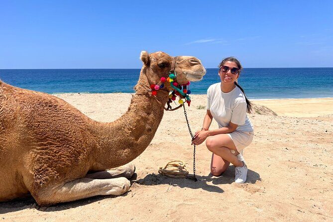 ATV and Camel Ride Combo Tour in Los Cabos - Key Points