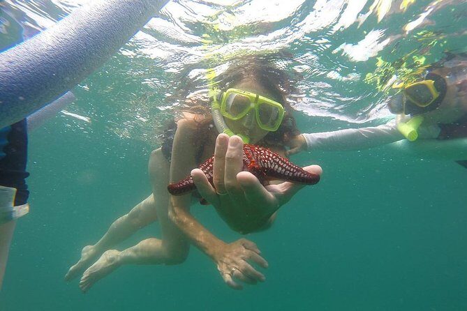 ATV and Snorkel from Playa Flamingo - Key Points