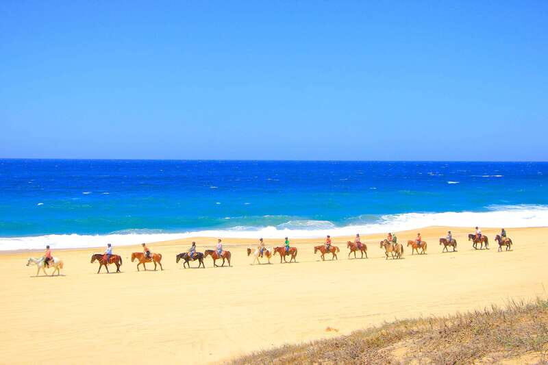 ATV Automatic 4X4 & Horseback riding in Cabo by Cactus Tours - What’s Included and What’s Not