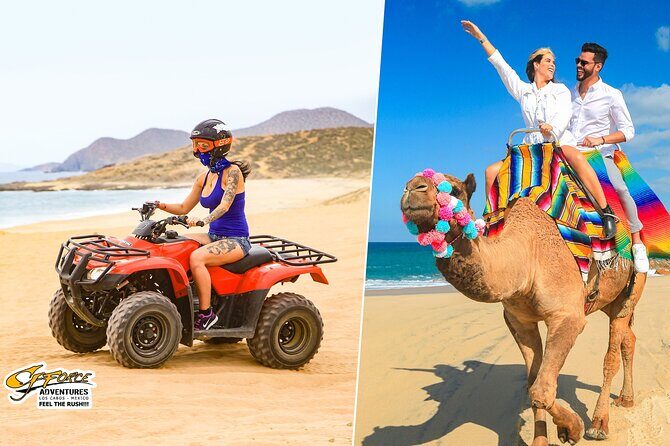 ATV & Camel Ride Tour on Migriño Beach - Exploring Cabo San Lucas: ATV & Camel Ride Tour on Migriño Beach