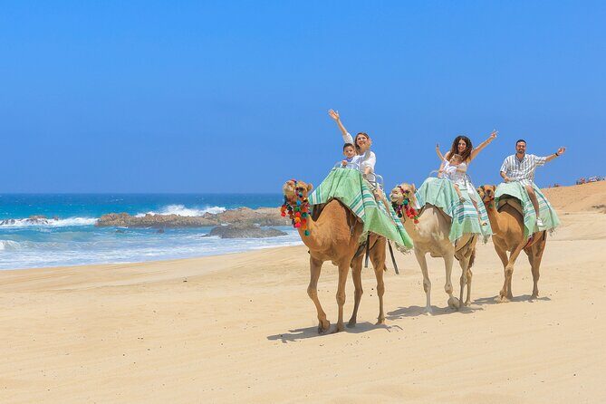 ATV & Camel Ride Tour on Migriño Beach - Key Points