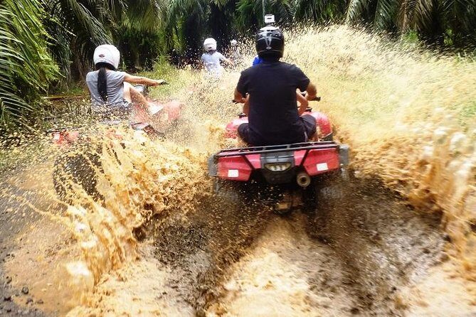 ATV & Canopy Tour From Flamingo Beach - Key Points