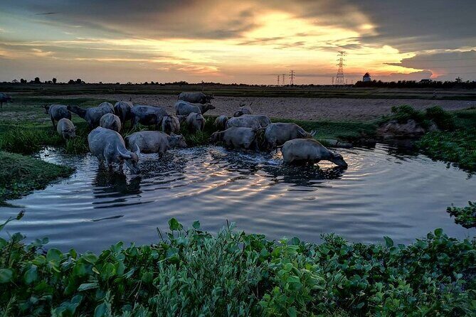 ATV Grand Sunset Tour - Who Will Love This Tour?