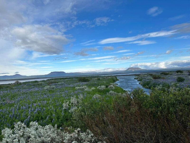 ATV guided trip close to dettifoss iceland - Final Words
