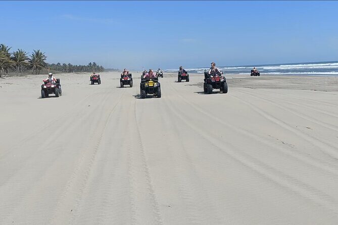 ATV Island Escape Excursions - Who Would Love This Tour?