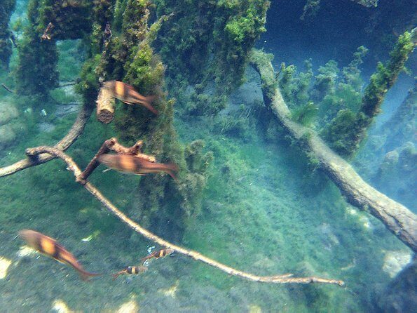 ATV & Kayaking in Hidden Freshwater Lagoon, Unseen Krabi Half Day Trip - FAQ