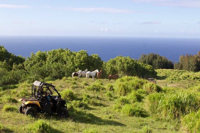 ATV Ranch ride Big Island Hawaii - Who Will Love This Tour?