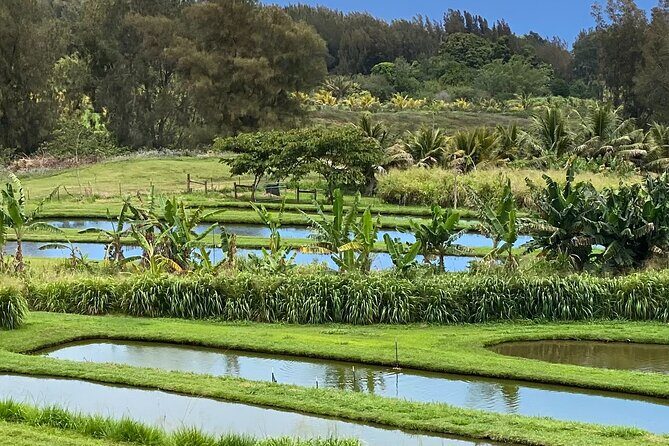 ATV Ranch ride Big Island Hawaii - The Sum Up