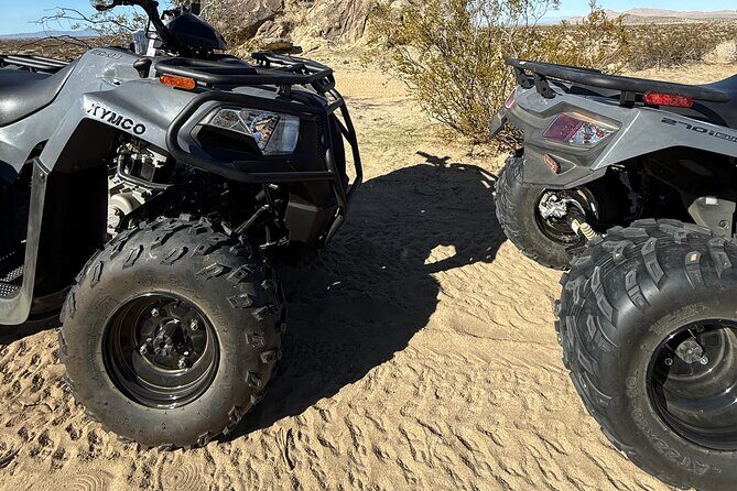 ATV Rentals Thrilling Desert Adventures - Who Should Try This Tour?